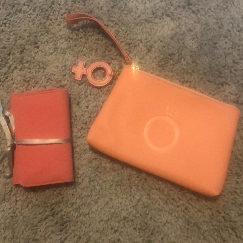 Pandora carrying case